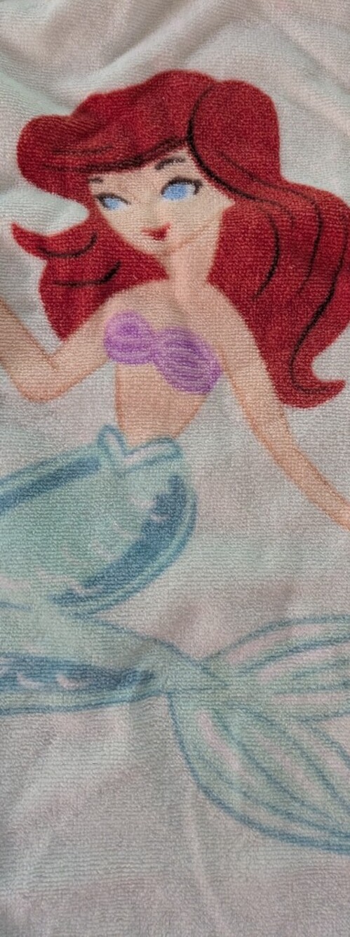 Pottery Barn Disney Princess Hooded Beach Towel - Excellent Condition - Picture 5 of 9